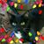 Aimee Bronson's profile image