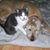 Susan Witter Hosinski's profile image