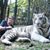Nancy Crowden's profile image