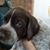 Phyllis McNall's profile image
