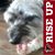 Shawanda Reedy-Whitfield's profile image