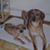 Donna O'Dell Rogers's profile image