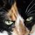 Rhonda Hines Berg's profile image
