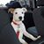 Barbara Sutliff's profile image