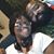 Tyrell Kelley's profile image