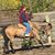 Shawna Thom's profile image