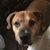 Tracy Perry's profile image