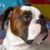 Mary Downie's profile image