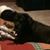 Shelley Hilley's profile image