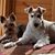 Paula West Garrett's profile image
