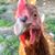 Amanda Roberts's profile image