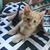 Joanne R Littlefield's profile image