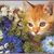 Cheryl Liacos-Halstead's profile image