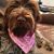 Linda Novello Hydrick's profile image