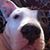 Randi Yates's profile image