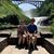 Billy Furlow's profile image