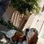 Maria M Anderson's profile image
