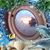 Sylvia Ballweg's profile image