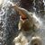 Rhonda Searcy Humphrey's profile image