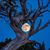 Linda Chesmore Duffer's profile image