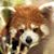 Ben-Judah Basson's profile image