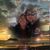 Sheila McDonald Kelley's profile image