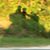Terrie Chandler Allen's profile image