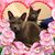 Amy Guzman's profile image