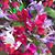 Dona Hale's profile image