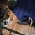 David Peterson's profile image