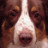 Steve M's profile image