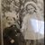 Michelle Arnold's profile image