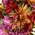 Linda Butler's profile image