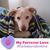 Grace Haggerty Fitzgerald's profile image