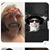 Susan Bates's profile image