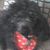Katherine Butler's profile image