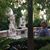 Emperatriz Guillen B's profile image