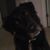 Patrick Herbst's profile image