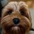 Abbie Morris Jackson's profile image