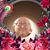 Terry Hamilton's profile image