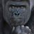 Mark Rogers's profile image