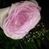 Linda Barnett's profile image