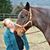 Elizabeth Jenke Hisaw's profile image