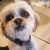 Lucy Ralh's profile image