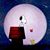 Elaine Roche's profile image