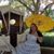 Dawn Simmons Henderson's profile image
