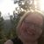 Tonya Holmes's profile image