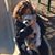 Samantha Painter's profile image