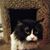 Janet Parrish's profile image