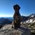 Jill Bailey's profile image